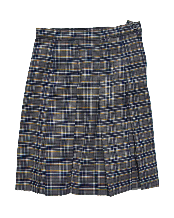 Box Pleat Skirt Plaid 42