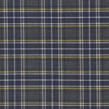 Plaid 42
