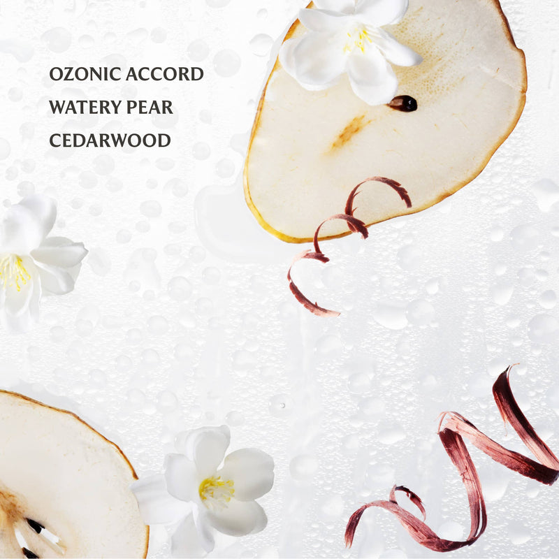 Load image into Gallery viewer, Rainwater Power Mist Hydrating Hand Sanitizer
