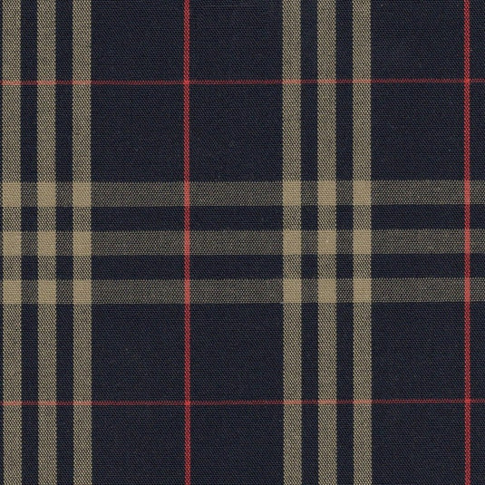 A+ Pleated Skirt Plaid 1C