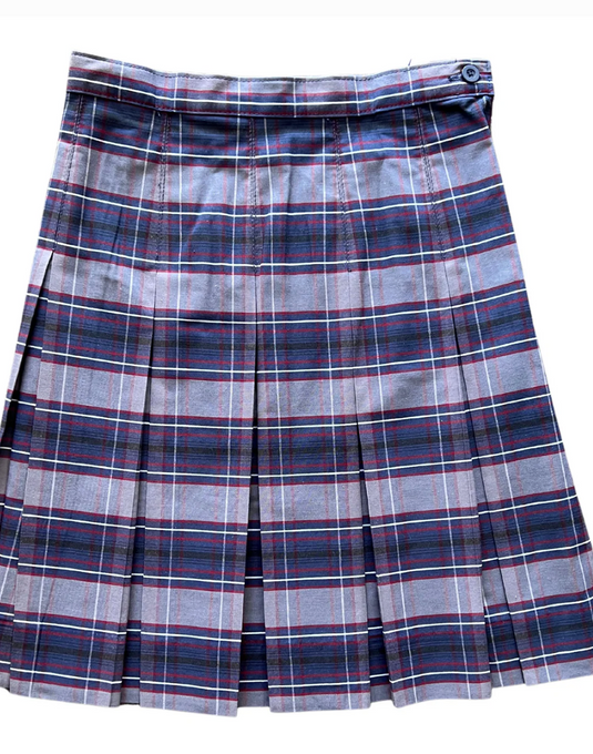 Pleated Skirt Plaid 53