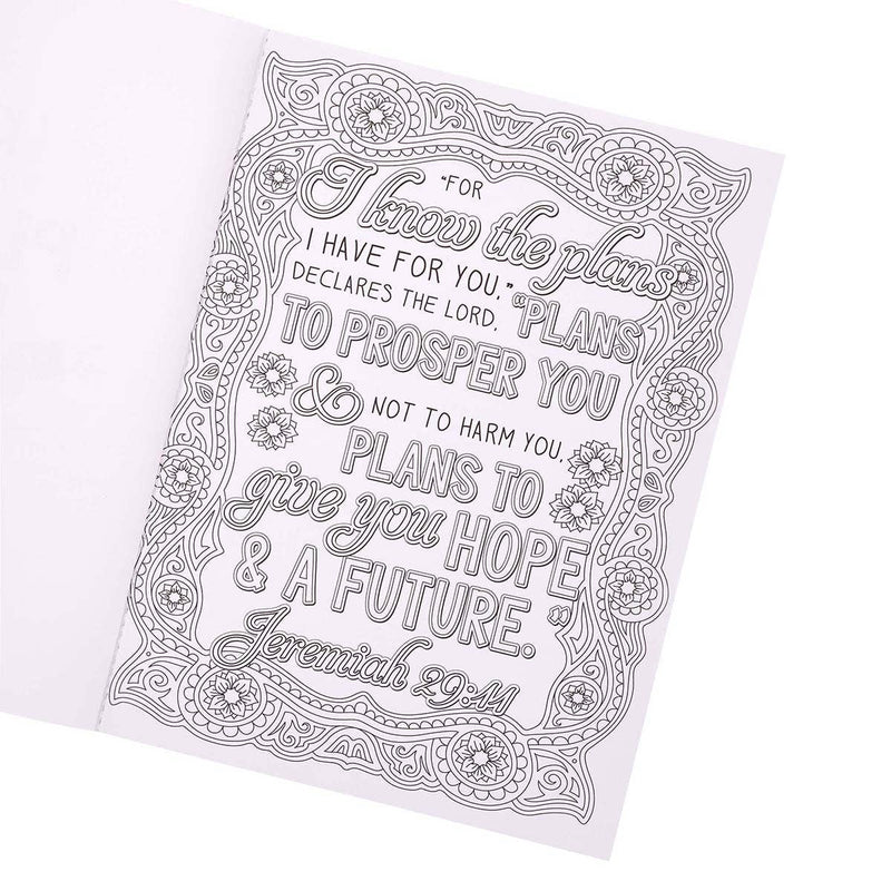 Load image into Gallery viewer, Coloring Book I Know the Plans

