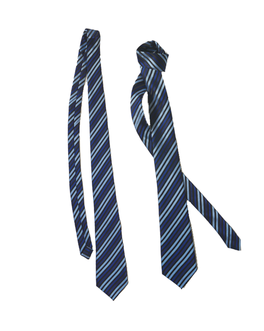 Neck Tie Blue Stripe